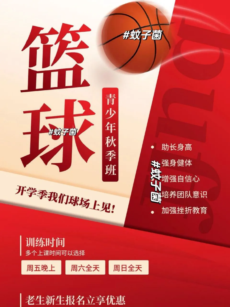 篮球训练技术动作视频下载教程_1